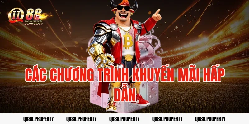 Các Chương Trình Khuyến Mãi Hấp Dẫn