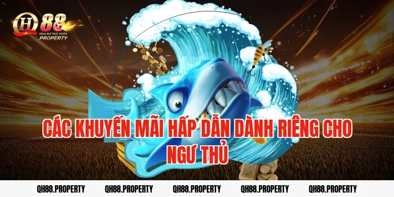Các Khuyến Mãi Hấp Dẫn Dành Riêng Cho Ngư Thủ