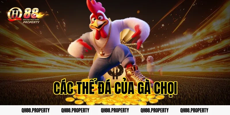 Các Thế Đá Của Gà Chọi Cần Biết Khi Tham Gia Cá Cược