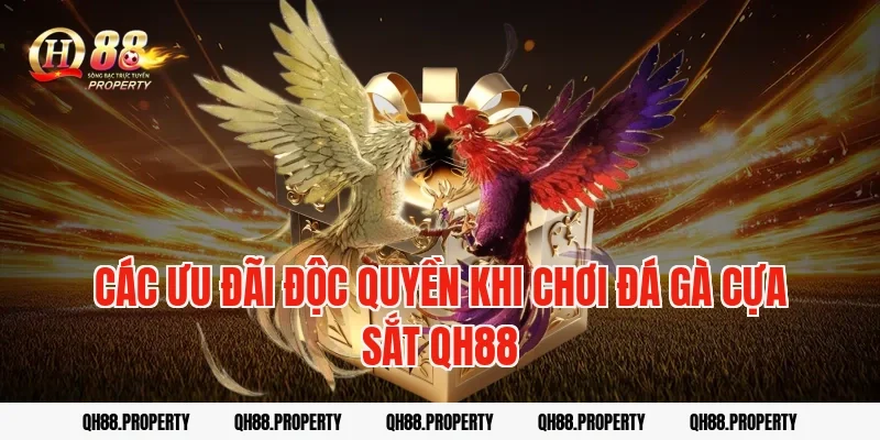 Các ưu đãi độc quyền khi chơi đá gà cựa sắt qh88