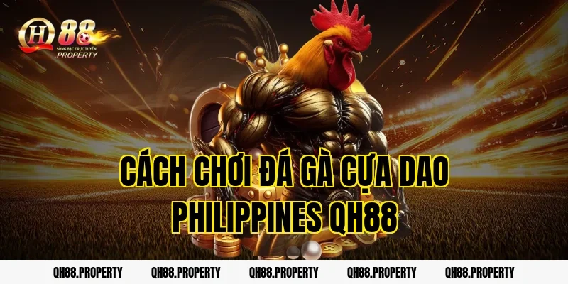 Cách Chơi Đá Gà Cựa Dao Philippines QH88 Dễ Hiểu Nhất