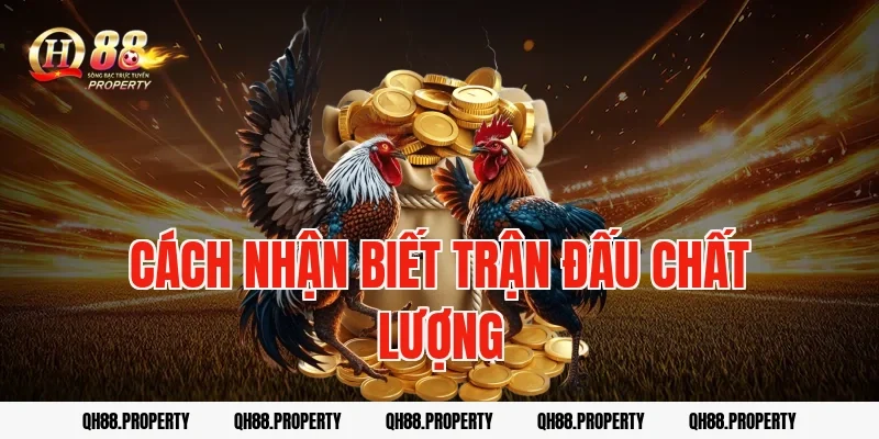 Cách nhận biết trận đấu chất lượng