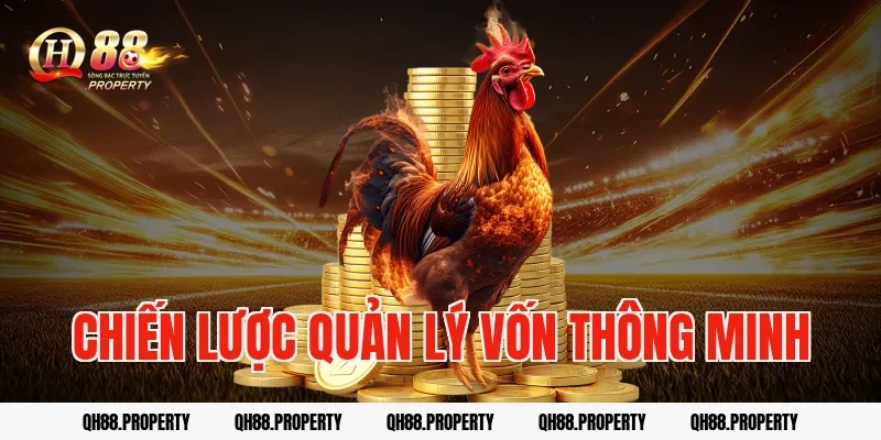 Chiến lược quản lý vốn thông minh