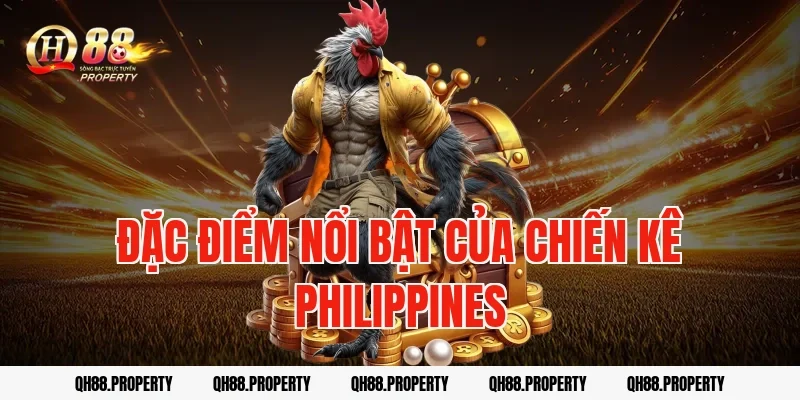 Đặc điểm nổi bật của chiến kê Philippines