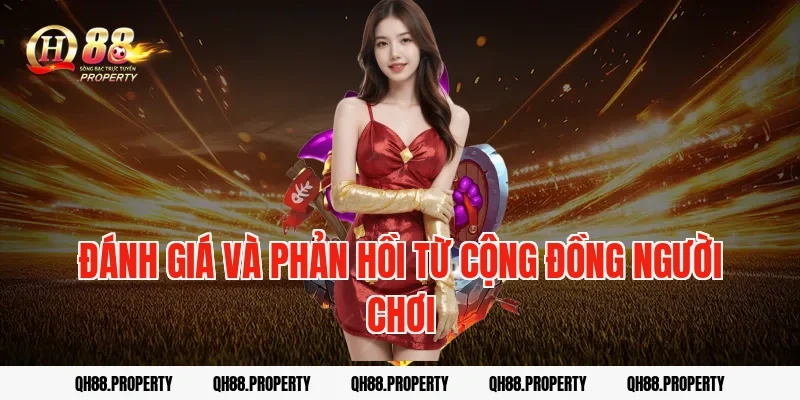 Đánh giá và phản hồi từ cộng đồng người chơi