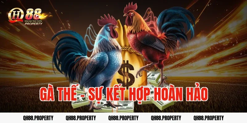 Gà thế – sự kết hợp hoàn hảo