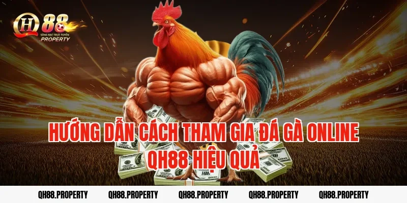 Hướng dẫn cách tham gia đá gà online QH88 hiệu quả