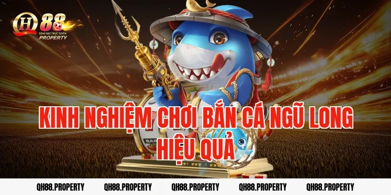 Kinh nghiệm chơi bắn cá ngũ long hiệu quả