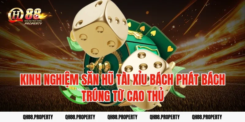 Kinh nghiệm săn hũ Tài Xỉu bách phát bách trúng từ cao thủ