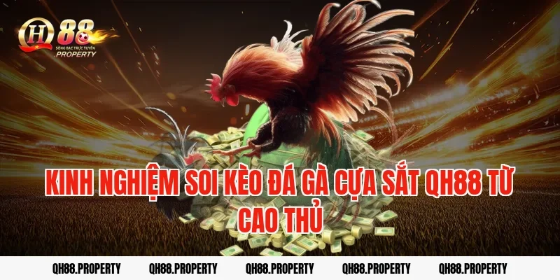 Kinh nghiệm soi kèo đá gà cựa sắt qh88 từ cao thủ
