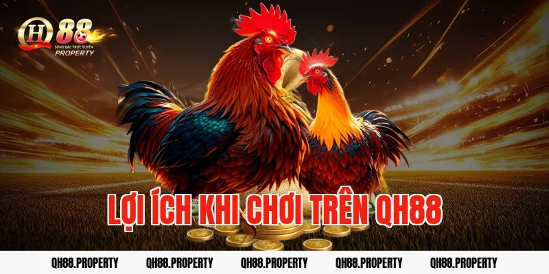 Lợi ích khi chơi trên QH88