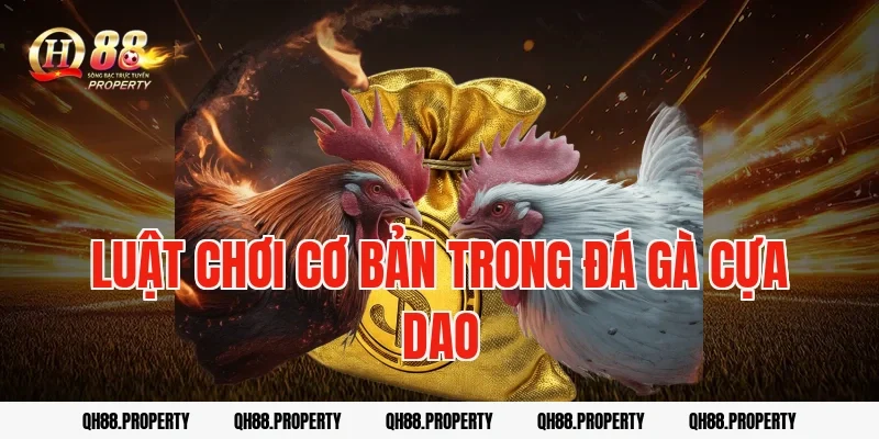 Luật chơi cơ bản trong đá gà cựa dao