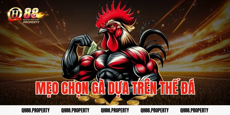 Mẹo chọn gà dựa trên thế đá
