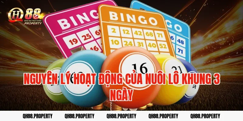 Nguyên lý hoạt động của nuôi lô khung 3 ngày