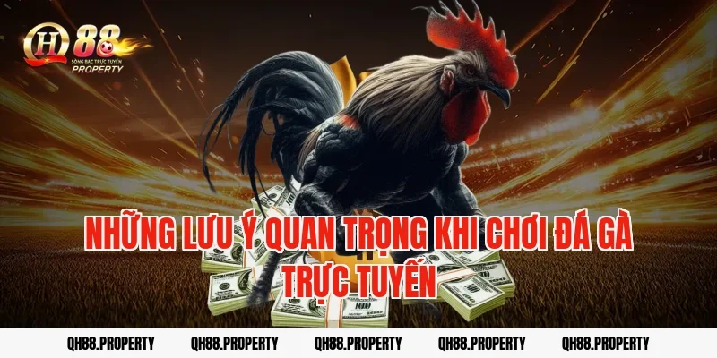 Những lưu ý quan trọng khi chơi đá gà trực tuyến