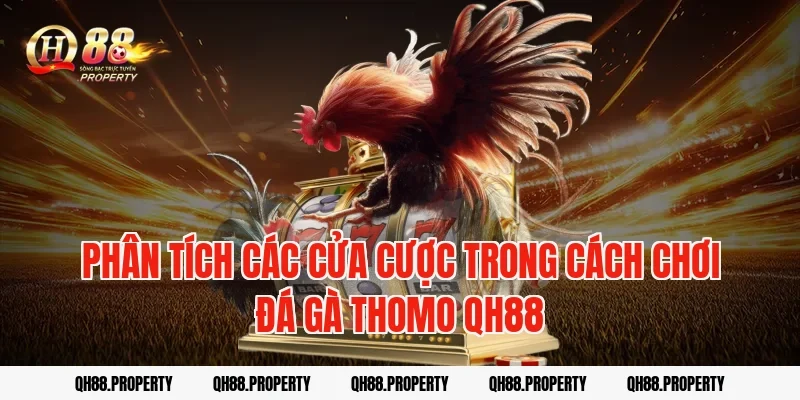 Phân tích các cửa cược trong cách chơi đá gà thomo qh88