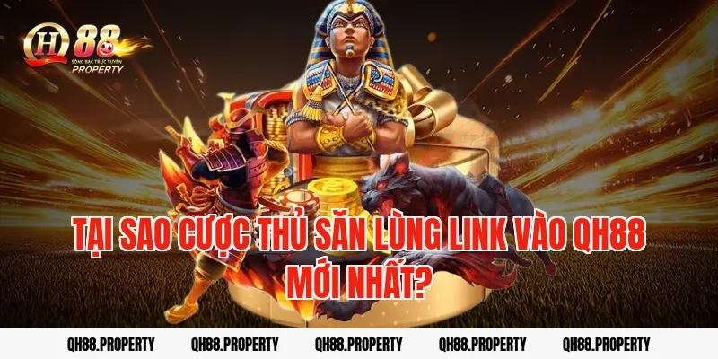 Tại sao cược thủ săn lùng Link Vào Qh88 Mới Nhất?
