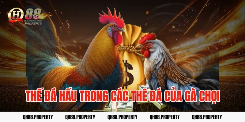 Thế đá hầu trong các thế đá của gà chọi
