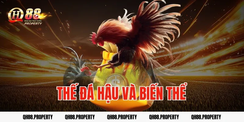 Thế đá hậu và biến thể