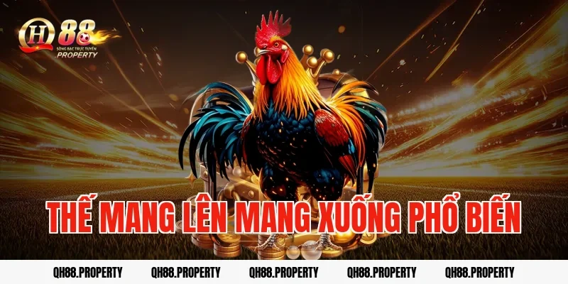Thế mang lên mang xuống phổ biến