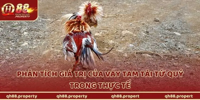Phân tích giá trị của vảy tam tài tứ quý trong thực tế
